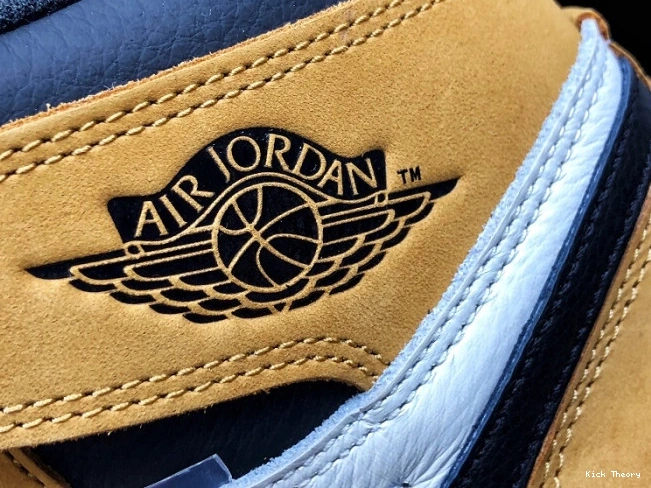 Kick Theory 555088-700 Year Jordan High Air Rookie the Retro of 1 OG 0731
